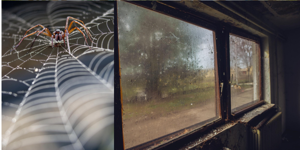 How-to-Get-Rid-of-Cobwebs-Spiders-in-Your-Home
